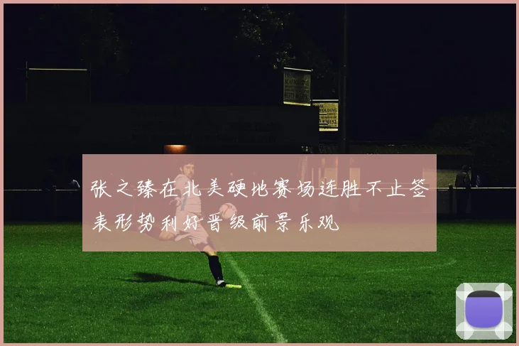 张之臻在北美硬地赛场连胜不止签表形势利好晋级前景乐观
