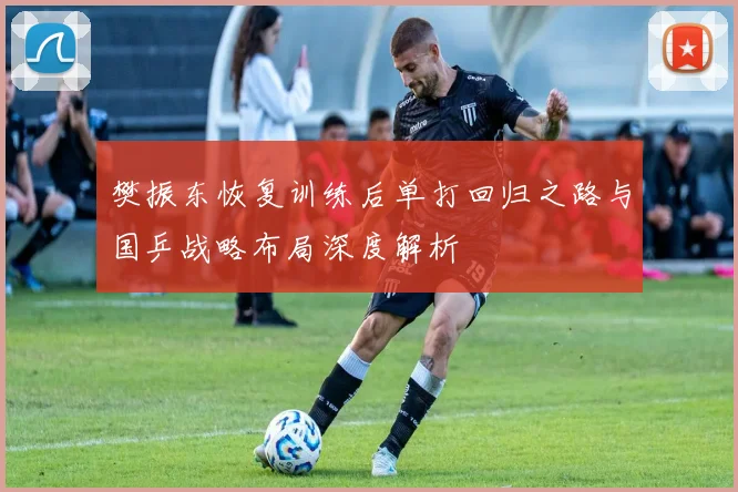 樊振东恢复训练后单打回归之路与国乒战略布局深度解析