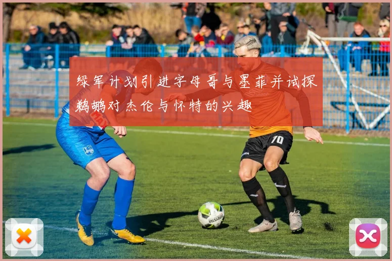 绿军计划引进字母哥与墨菲并试探鹈鹕对杰伦与怀特的兴趣