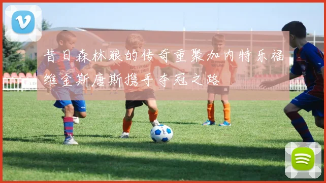 昔日森林狼的传奇重聚加内特乐福维金斯唐斯携手夺冠之路
