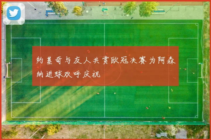 约基奇与友人共赏欧冠决赛为阿森纳进球欢呼庆祝