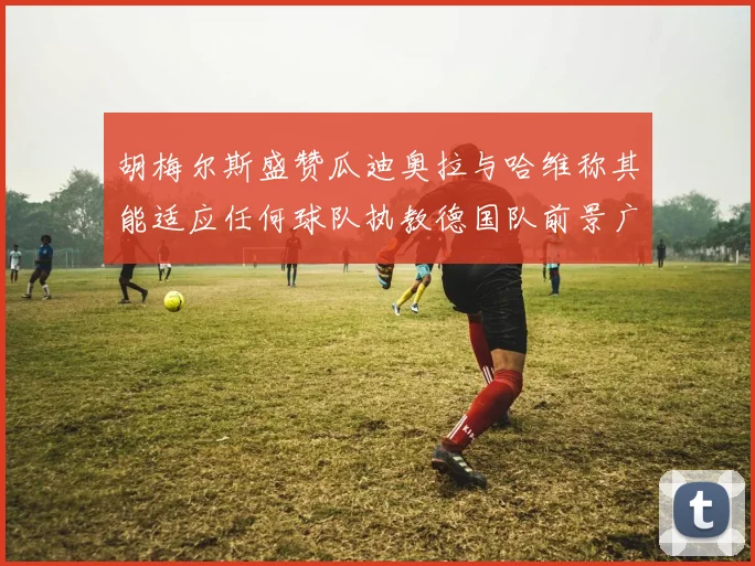 胡梅尔斯盛赞瓜迪奥拉与哈维称其能适应任何球队执教德国队前景广阔